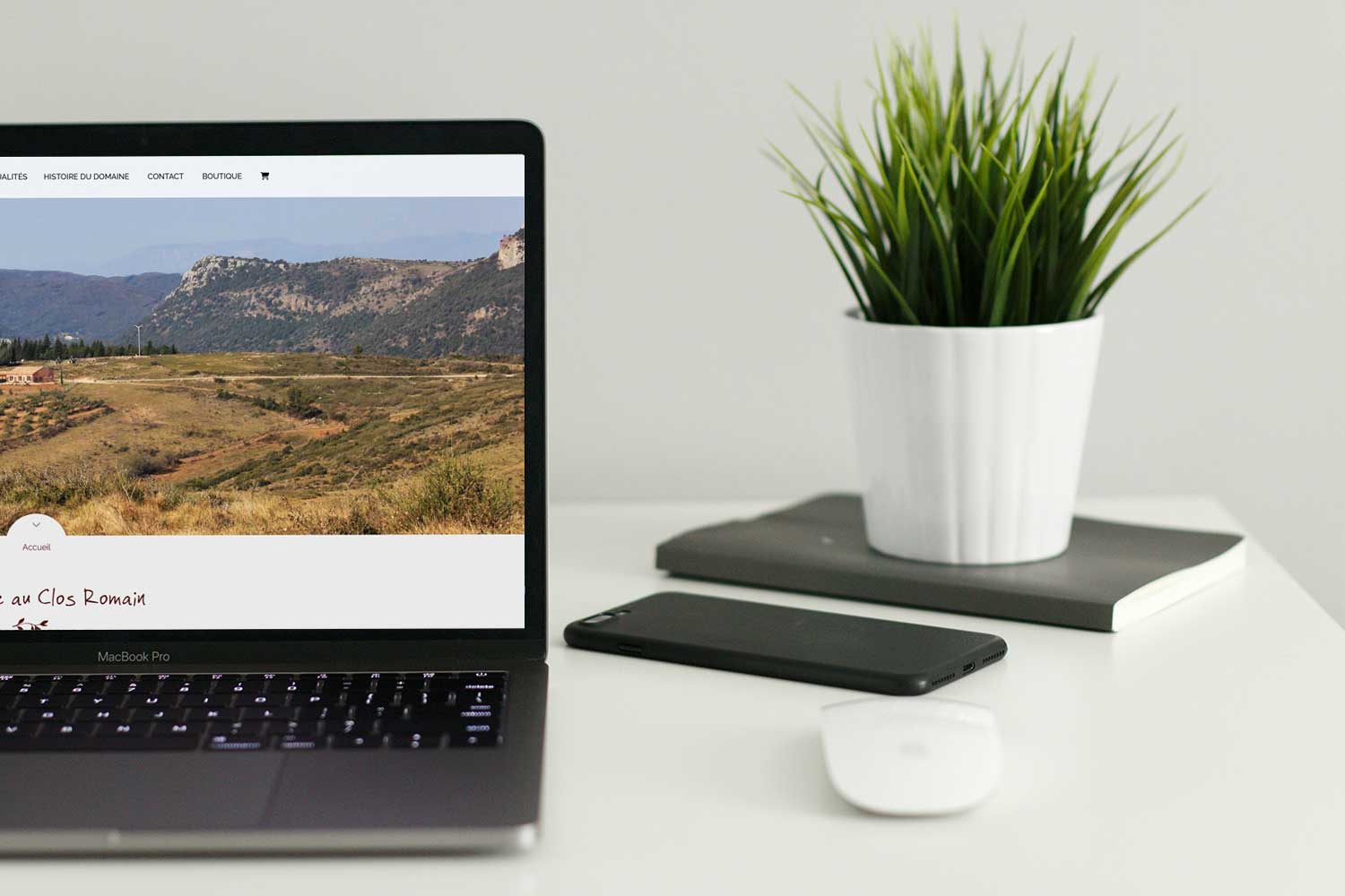 Website