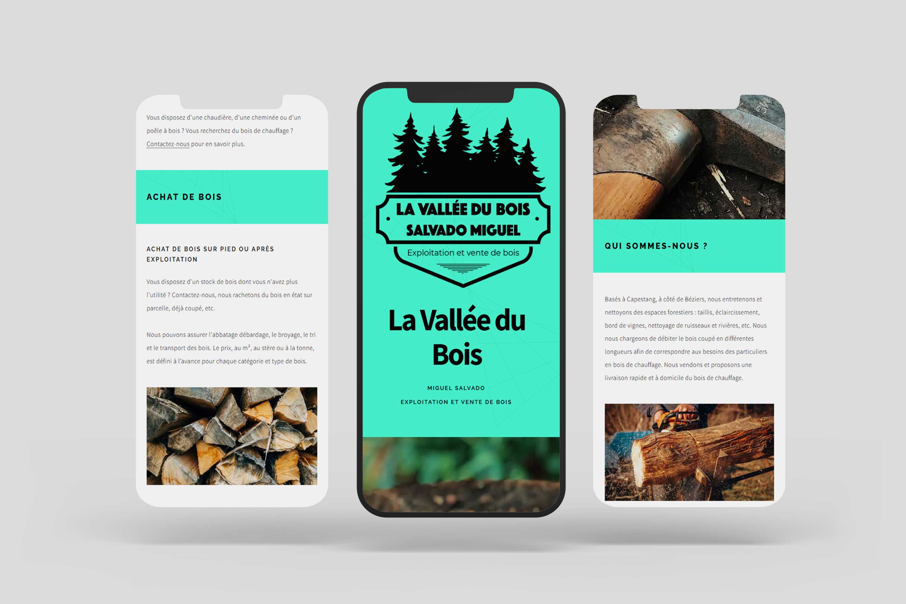 Mobile Website